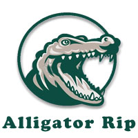 Alligator Rip - Small Building Demolotion